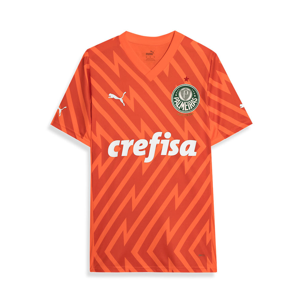 PUMA Camisa Palmeiras Goleiro III 24/25 Torcedor Masculina Laranja 777270-01