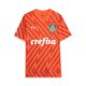 PUMA Camisa Palmeiras Goleiro III 24/25 Torcedor Masculina Laranja 777270-01