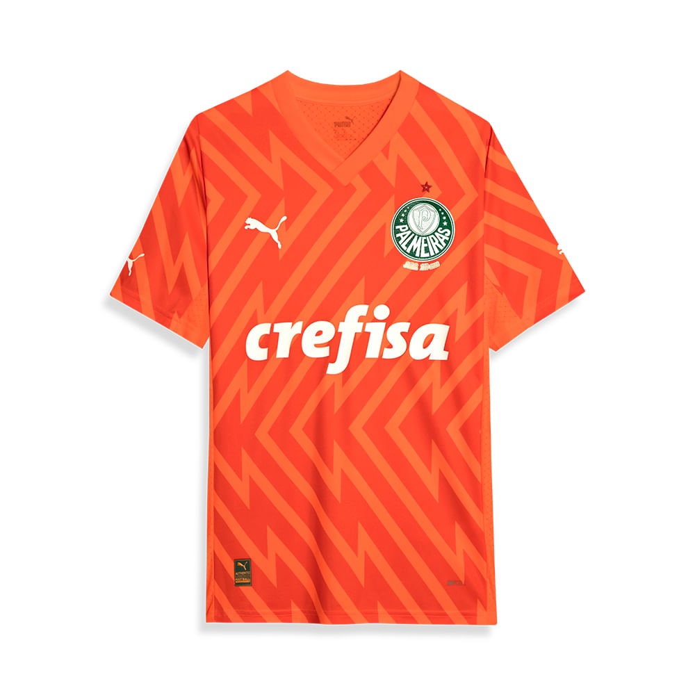 PUMA Camisa Palmeiras Goleiro III 24/25 Jogador Masculina Laranja 777236-01