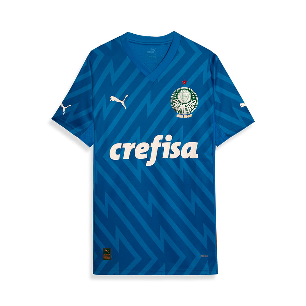 PUMA Camisa Palmeiras Goleiro I 24/25 Jogador Masculina Azul 777235-01