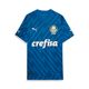 PUMA Camisa Palmeiras Goleiro I 24/25 Jogador Masculina Azul 777235-01