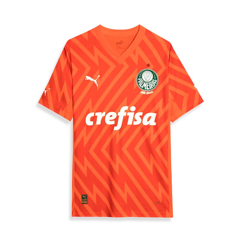 PUMA Camisa Palmeiras Goleiro III 24/25 Jogador Masculina Laranja 777236-01