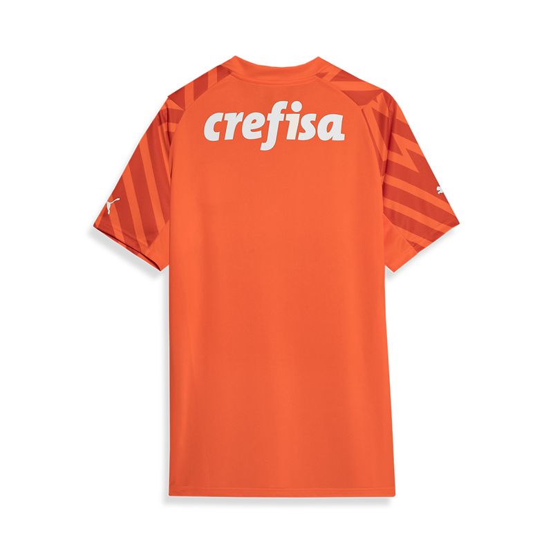 PUMA Camisa Palmeiras Goleiro III 24/25 Torcedor Masculina Laranja 777270-01