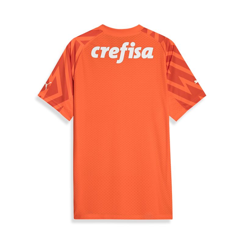 PUMA Camisa Palmeiras Goleiro III 24/25 Jogador Masculina Laranja 777236-01