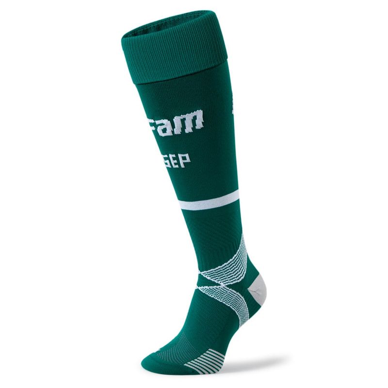 PUMA Meião Palmeiras Masculino Jogo Verde 76902101