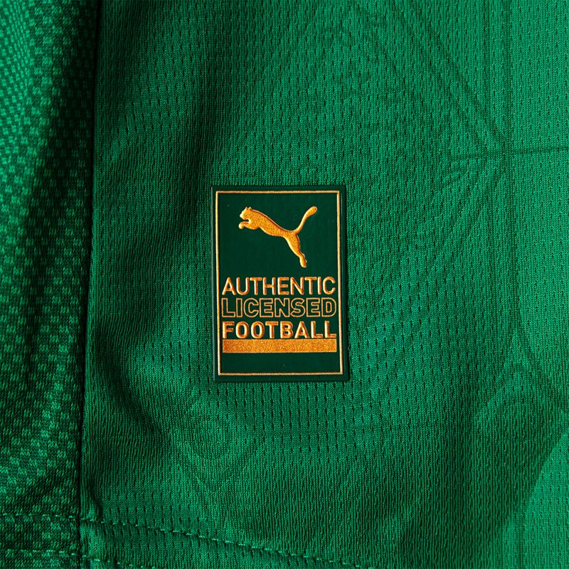 PUMA Camisa I Palmeiras Masculina Jogador Verde 782425-01