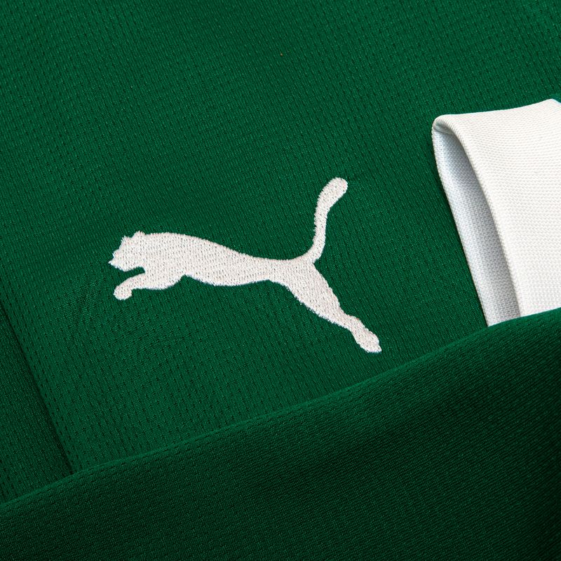 PUMA Camisa I Palmeiras Manga Longa Torcedor 25/26 Masculina Verde 78245501