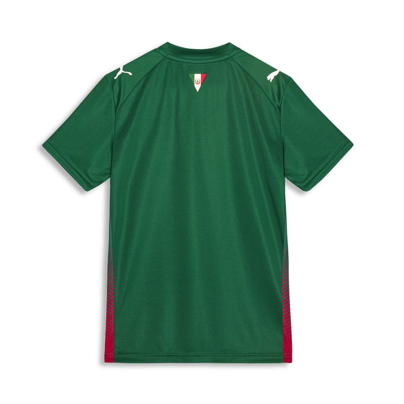 PUMA Camisa I Palmeiras Infantil Torcedor Verde 787224-01