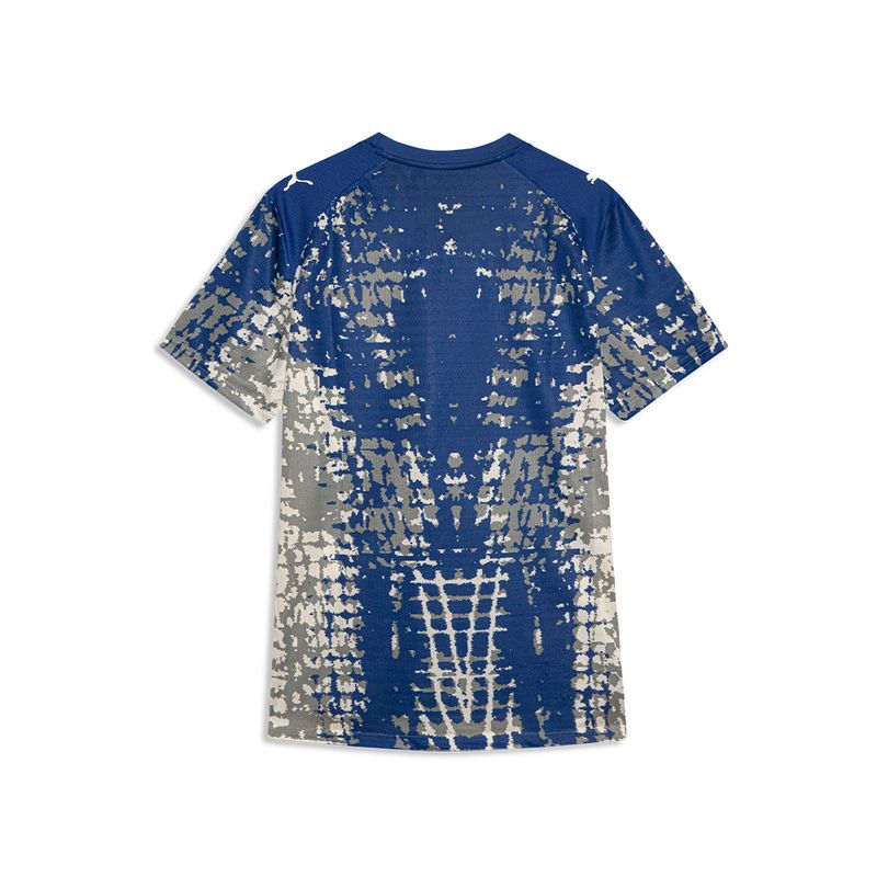 PUMA Camisa Palmeiras Goleiro Especial 26/27 Jogador dryCELL Azul