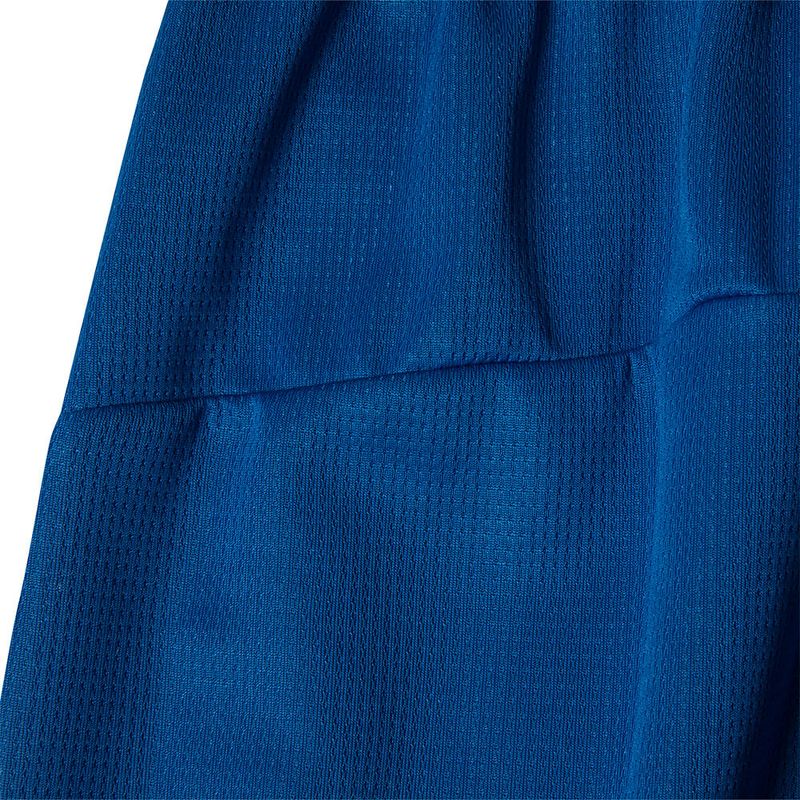 PUMA Short Palmeiras III Torcedor Masculino Azul 788982-01